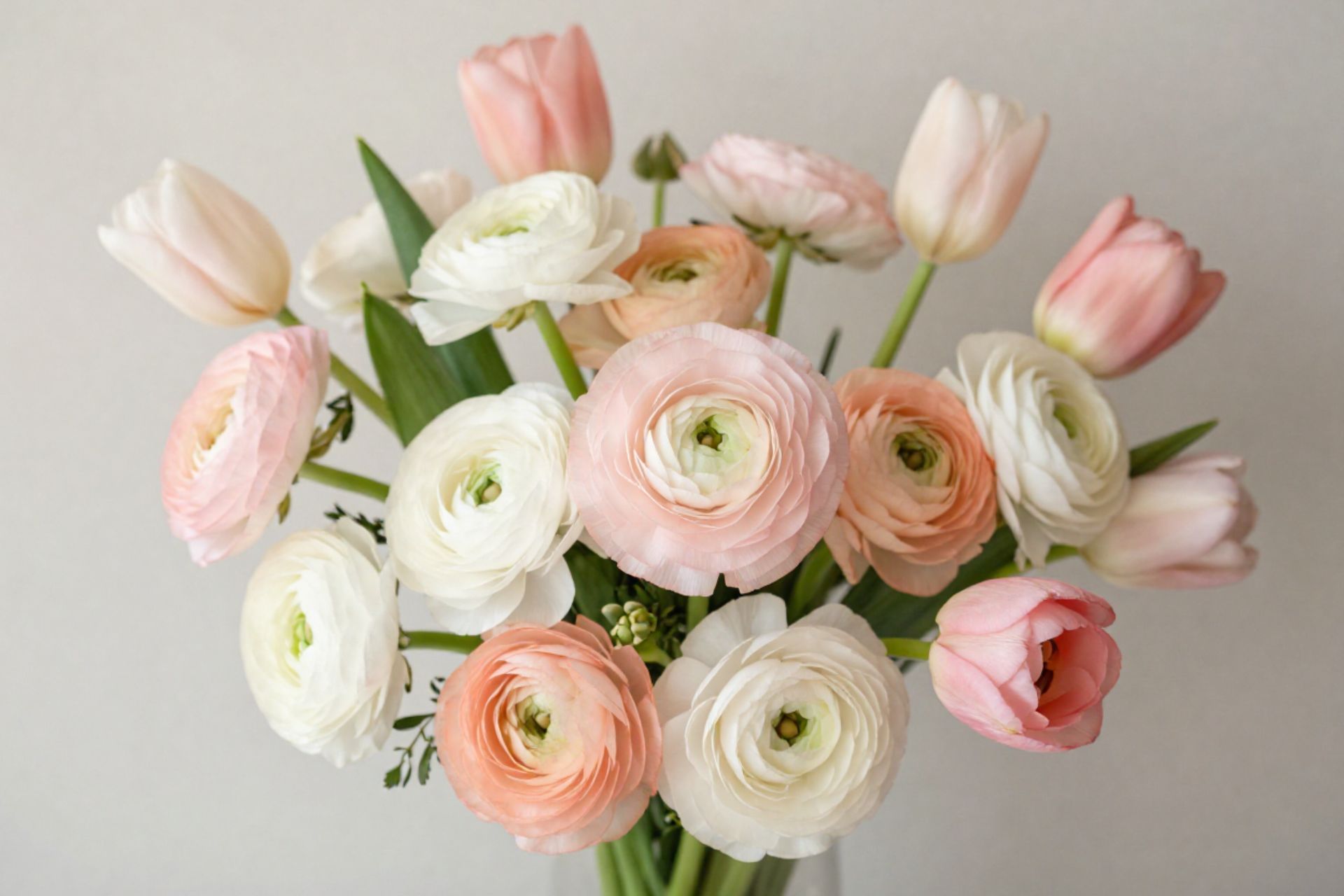 I fiori primaverili più belli da regalare a marzo